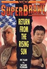 Watch WCW SuperBrawl I 1channel