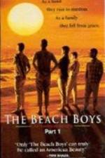 Watch The Beach Boys An American Family 1channel