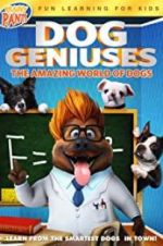 Watch Dog Geniuses 1channel
