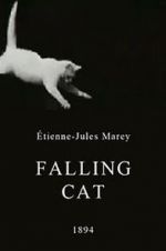 Watch Falling Cat 1channel