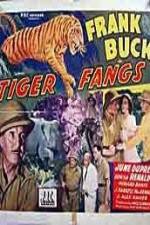 Watch Tiger Fangs 1channel