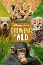 Watch Growing Up Wild 1channel