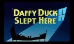 Watch Daffy Duck Slept Here (Short 1948) 1channel