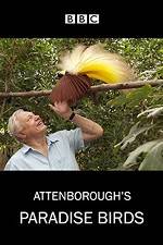 Watch Attenborough's Paradise Birds 1channel