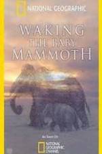 Watch Waking the Baby Mammoth 1channel