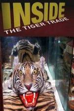 Watch Inside: The Tiger Trade 1channel