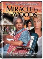 Watch Miracle in the Woods 1channel