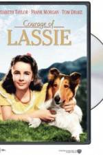 Watch Courage of Lassie 1channel