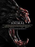 Watch Animal 1channel