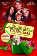 Watch The Night Before the Night Before Christmas 1channel