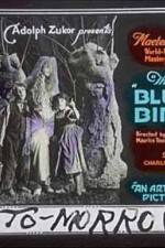 Watch The Blue Bird 1channel