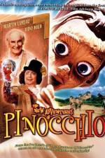 Watch The New Adventures of Pinocchio 1channel
