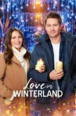 Watch Love in Winterland 1channel