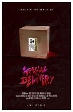 Watch Special Delivery 1channel