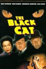 Watch The Black Cat 1channel