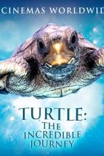 Watch Turtle The Incredible Journey 1channel