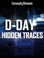 Watch D-Day: Hidden Traces 1channel
