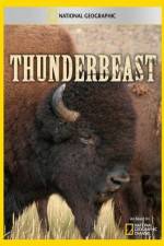 Watch Thunderbeast 1channel