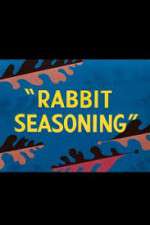 Watch Rabbit Seasoning 1channel