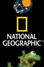 Watch National Geographic Wild Dam Beavers 1channel