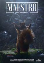 Watch Maestro 1channel