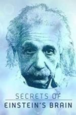 Watch Secrets of Einstein\'s Brain 1channel