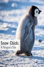 Watch Snow Chick: A Penguin's Tale 1channel