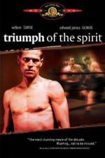 Watch Triumph of the Spirit 1channel