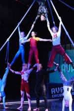 Watch Circus School 1channel