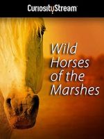 Watch Wild Horses of the Marshes 1channel