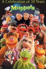 Watch The Muppets - A celebration of 30 Years 1channel