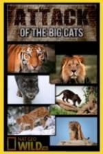 Watch National Geographic Attack Of The Big Cats 1channel