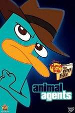 Watch Phineas And Ferb Animal Agents 1channel