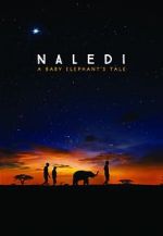 Watch Naledi: A Baby Elephant\'s Tale 1channel