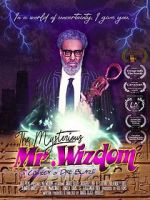 Watch The Mysterious Mr. Wizdom 1channel