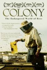 Watch Colony 1channel