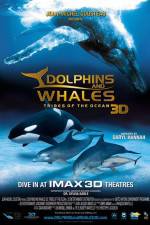 Watch Dolphins and Whales 3D Tribes of the Ocean 1channel