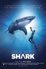 Watch Great White Shark 1channel