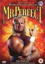 Watch The Life and Times of Mr. Perfect 1channel