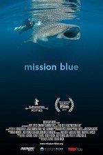 Watch Mission Blue 1channel