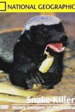 Watch National Geographic: Snake Killers Honey Badgers Of The Kalahari 1channel