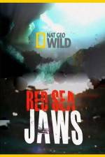 Watch National Geographic Red Sea Jaws 1channel