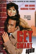 Watch Get Smart Again 1channel