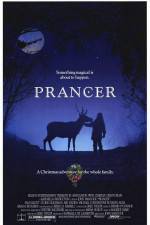 Watch Prancer 1channel