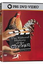 Watch The Natural History of the Chicken 1channel