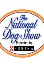 Watch National Dog Show 1channel