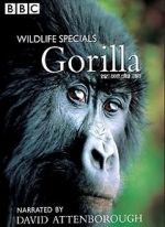 Watch Gorilla Revisited with David Attenborough 1channel