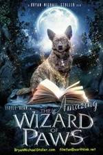 Watch The Amazing Wizard of Paws 1channel