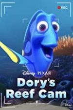 Watch Dory\'s Reef Cam 1channel