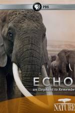 Watch Echo: An Elephant to Remember 1channel